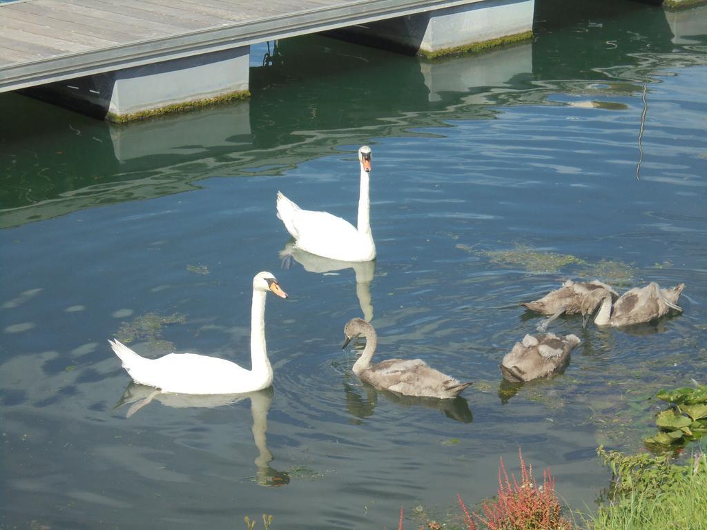 크리엘쉬르메르 Les Cygnes 빌라 외부 사진